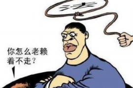 南阳融资清欠服务